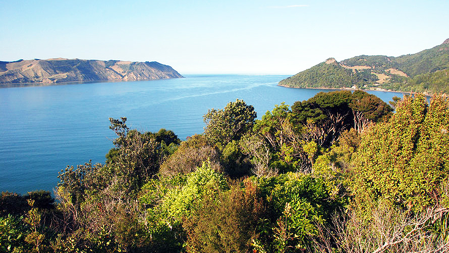 Manukau Harbour entrance and the South Head, Auckland