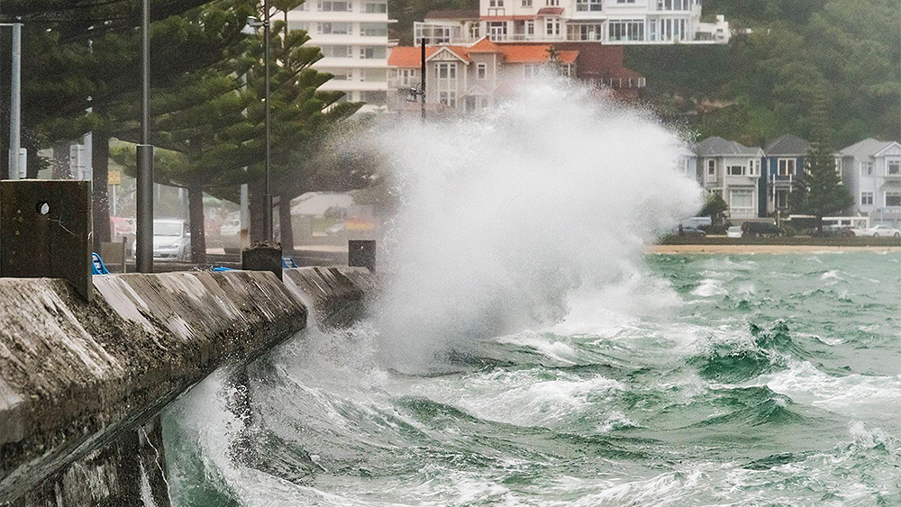 Storm and wind in Wellington harbour