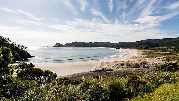 Great Barrier Island beach