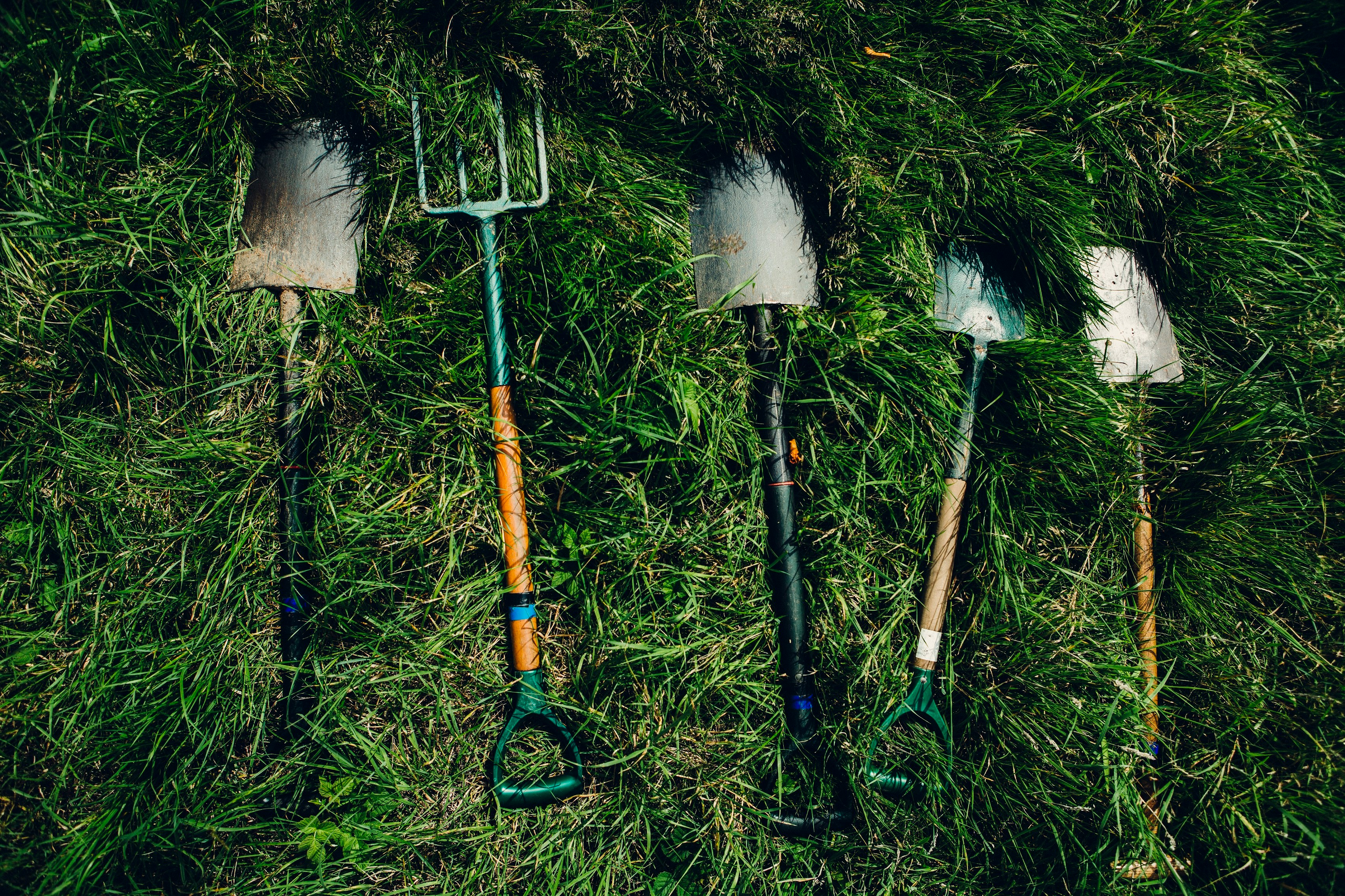 Garden tools lie on a patch of grass