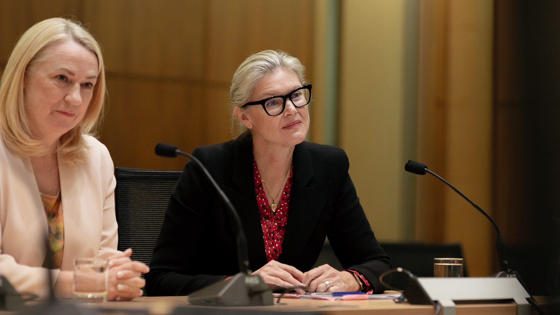 ASB chair Therese Walsh and CEO Vittoria Shortt speak at Parliamentary hearing