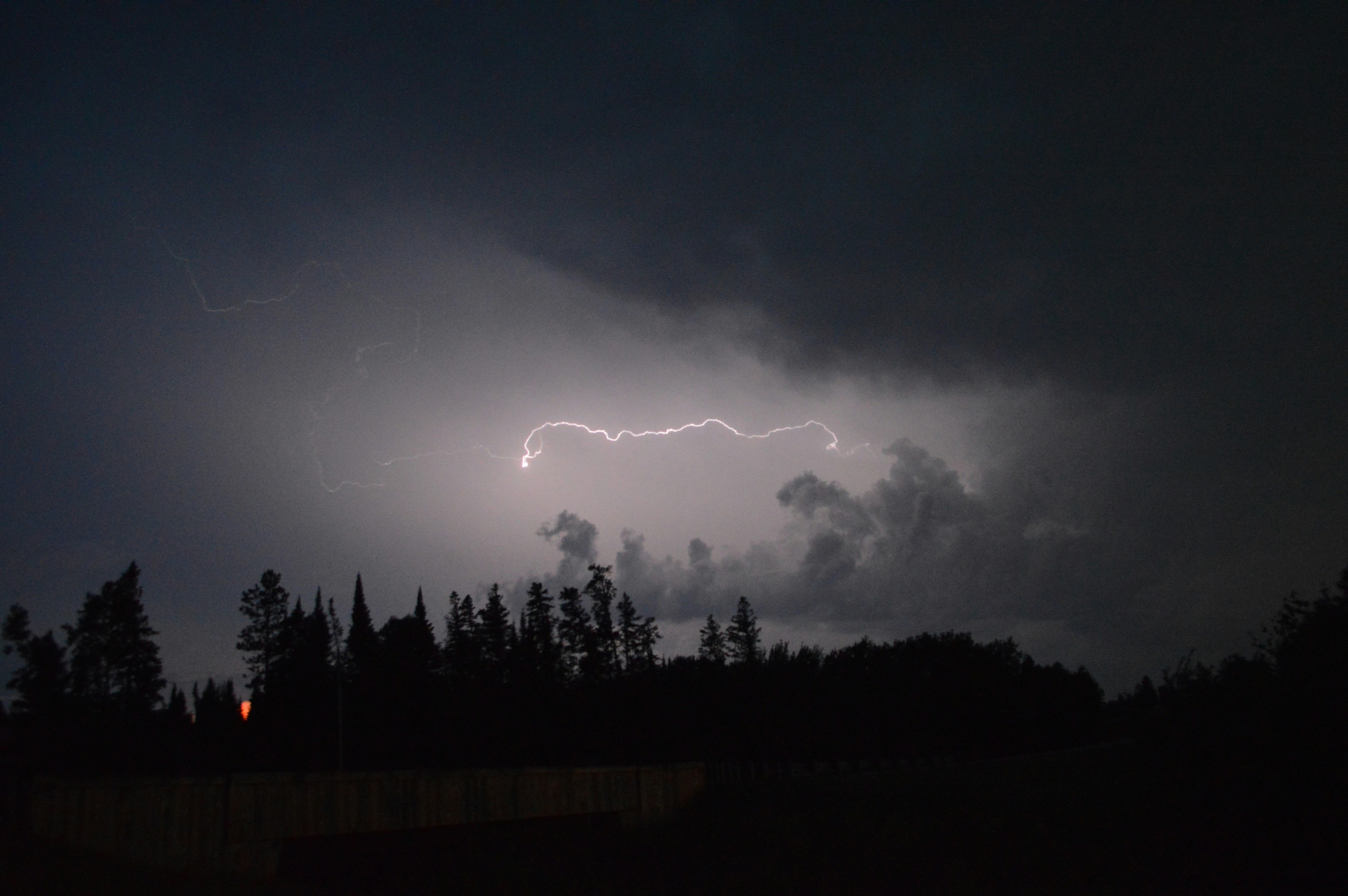 A lightening strike in a storm across a dark forest