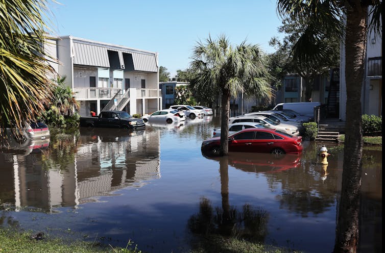 Flooded cars in Clearwater, Fla., after the arrival of Hurricane Milton on Oct. 10, 2024. Spencer Platt/Getty Images