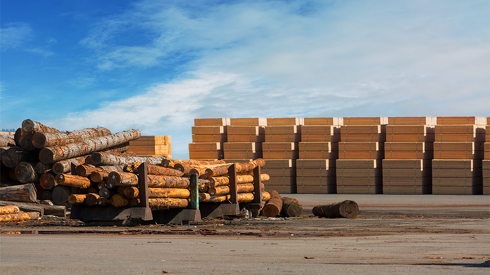 Yard storage at Chinese plywood manufacturer