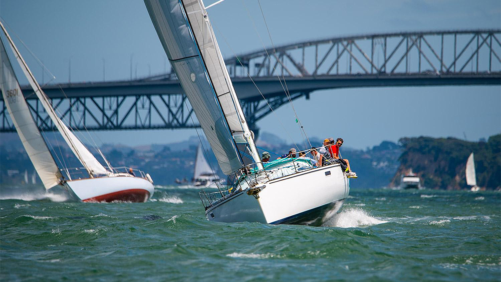 Auckland Anniversary regatta