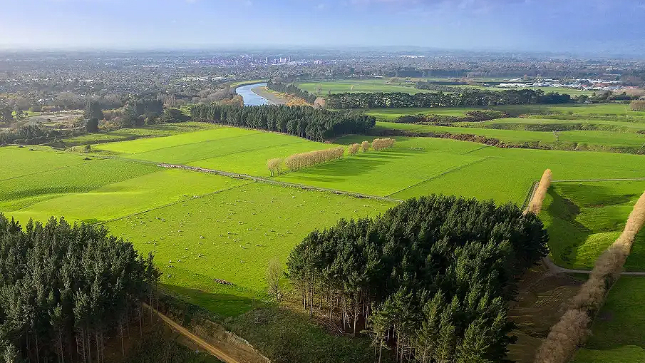 Pasture research, Massey University