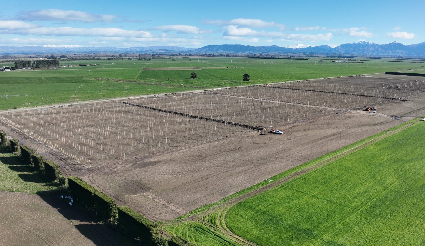 Canterbury orchard development