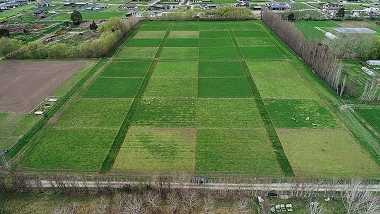 Lincoln Field Research Center