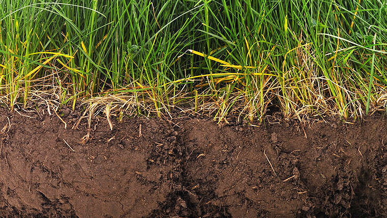 pasture and soil