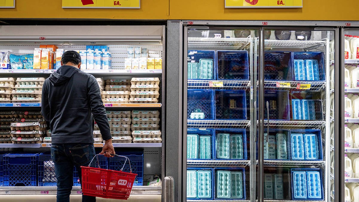 shopper choosing expensive eggs