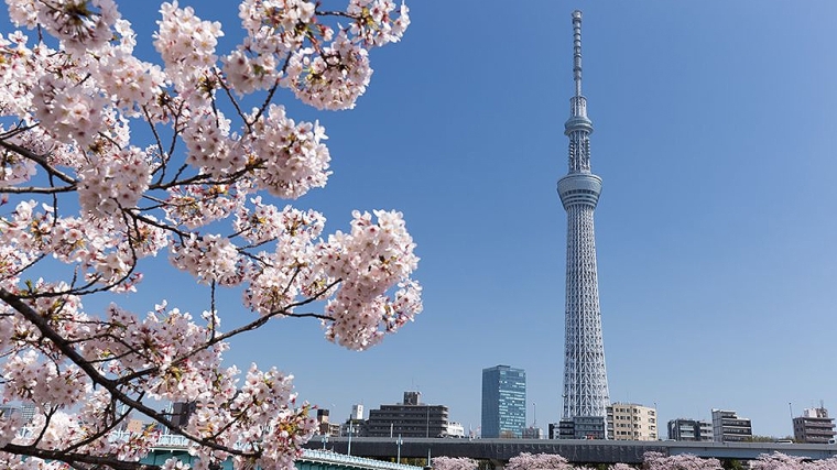 Tokyo's Skytree tower