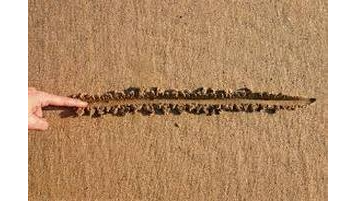 line in sand