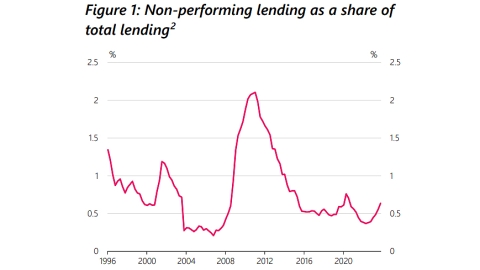 non performing lending