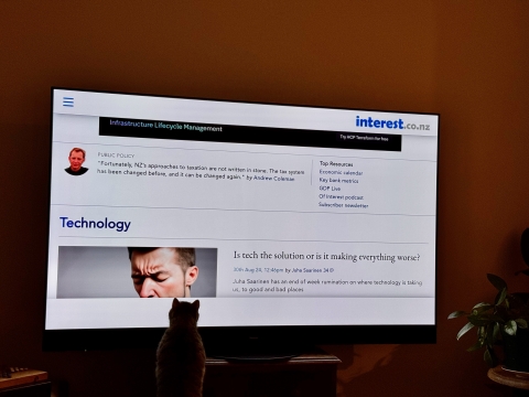 Vandal the Cat enjoying the Panasonic Z95A OLED TV. Photo: Juha Saarinen