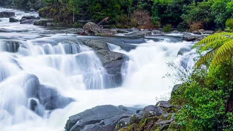 McLaren Falls, Bay of Plenty