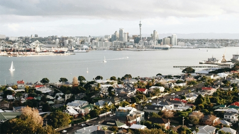 Auckland Harbour subsurbs