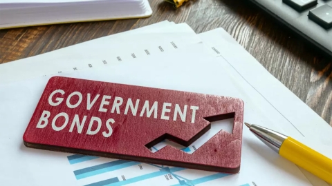 Government bond assessment