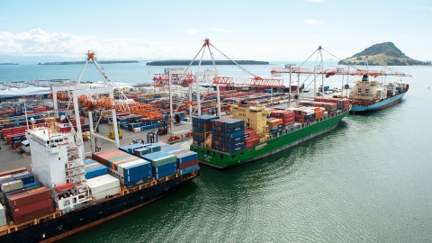 Tauranga container terminal