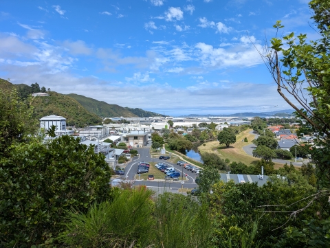 A view of the Callaghan Innovation Quarter from the south. Its future will be the topic of much discussion over the year ahead. Photo: Tim McNamara