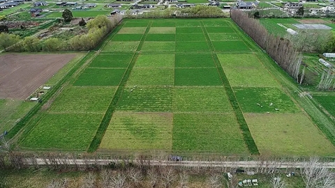 Lincoln Field Research Center